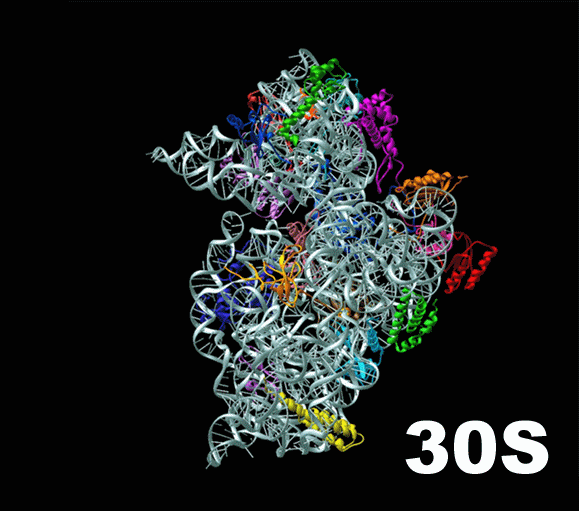 %D0%BC%D0%B0%D0%BB%D0%B0%D1%8F-%D1%81%D1