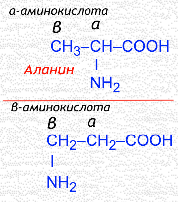 Α-бромпропионовая кислота + аммиак. С которыми взаимодействует аланин. С которыми взаимодействует аланин. С которыми взаимодействует аланин. Пептидная связь аминокислот формула.