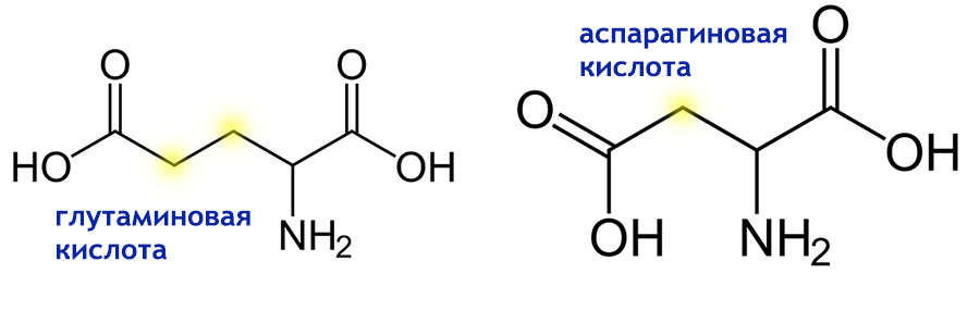 Аспарагиновая кислота для мужчин. Глутаминовая и аспарагиновая кислота. Глутаминовая кислота и глутамат. L глутаминовая кислота формула. Глутаминовая кислота структурная формула.