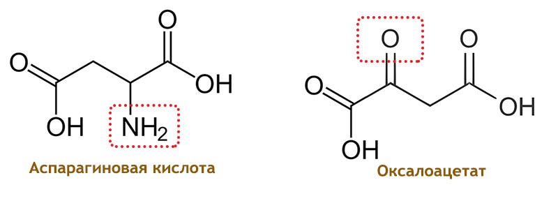 Аспарагиновая Кислота Купить В Аптеке Цена