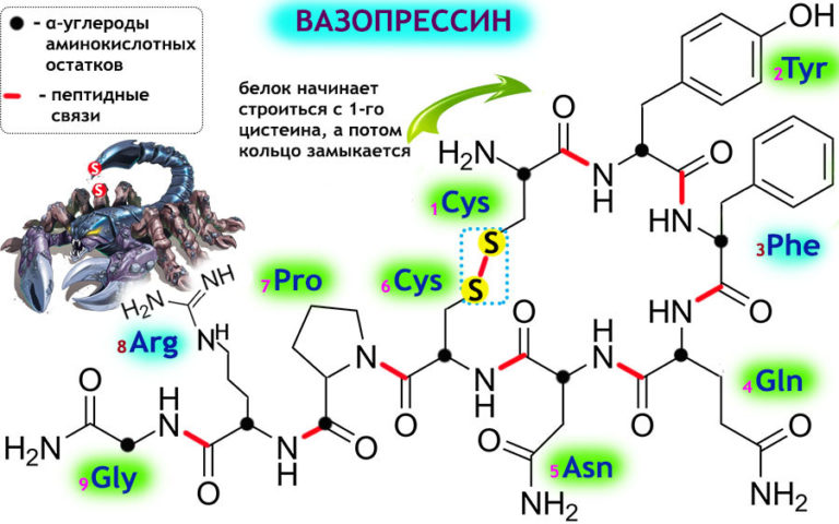 Окситоцин формула картинка